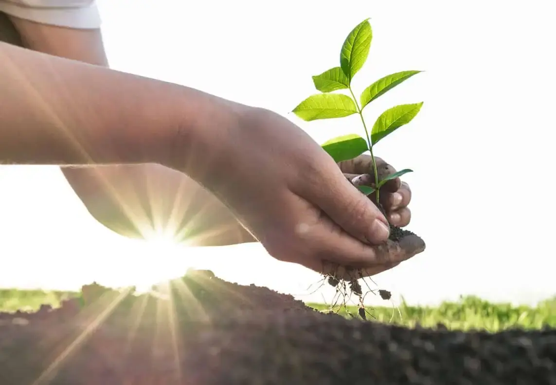 Join-Our-Team-Company-Perks-Image